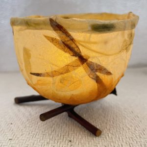 Paper fire bowl with dragonfly and sticks