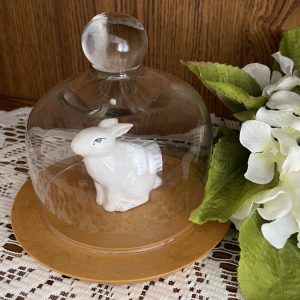 Rabbit under cloche on wood with a flower